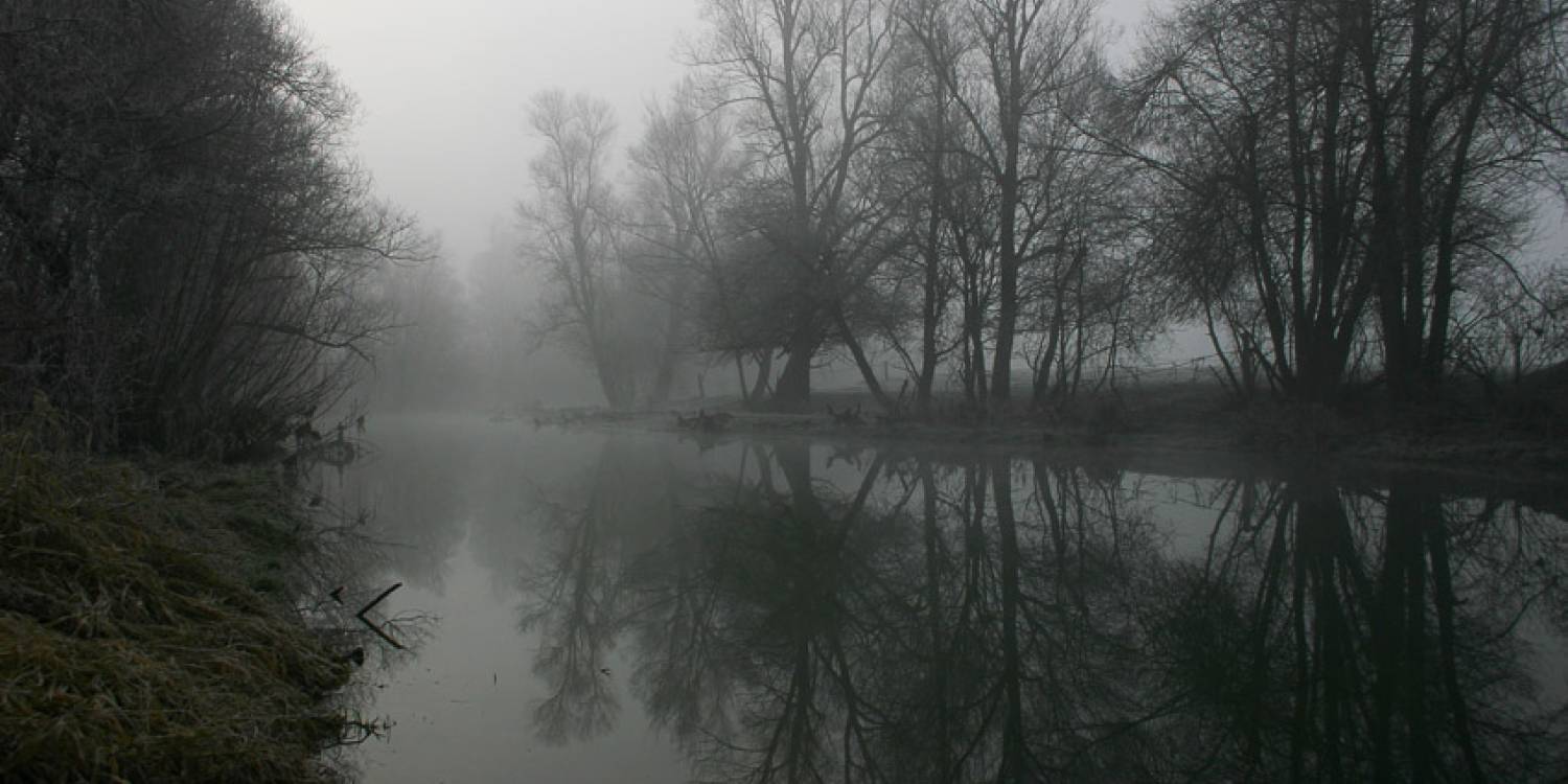 Kako fotografirati, ko je dan siv in oblačen